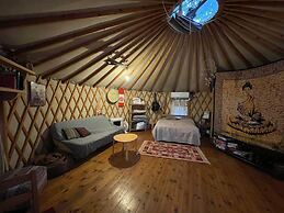 Yurt Located in a Little oak Grove