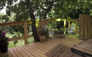 Yurt Located in a Little oak Grove