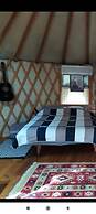 Yurt Located in a Little oak Grove