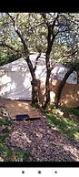 Yurt Located in a Little oak Grove