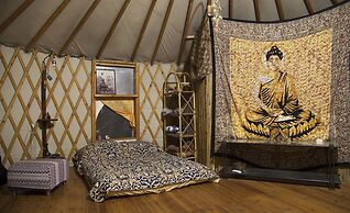Yurt Located in a Little oak Grove