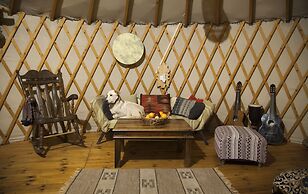 Yurt Located in a Little oak Grove