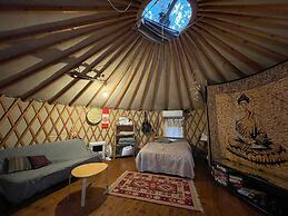 Yurt Located in a Little oak Grove