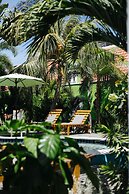 Pietermaai Oasis