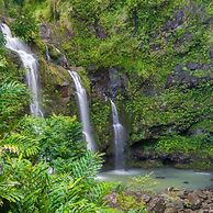 Kaleialoha 213 in Lahaina