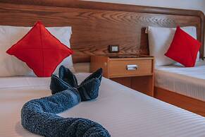 Studio - With Terrace