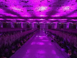 Bel-La Monde Hotel NH8 at 6km from IGI Airport Delhi