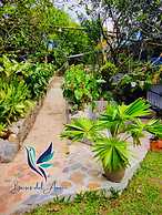EcoHotel Brisas del Amani