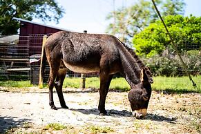 The Clubhouse - Lady Lake Farm Getaway!