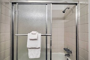 Tampa Vacation Rental Near Busch Gardens!