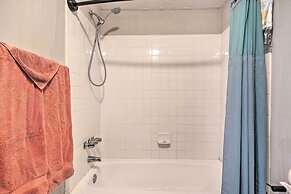 Waterfront Chapin Home w/ Private Dock!