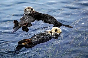 Arroyo Grande Home 3 Mi to Golf Course & Wineries!