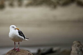 Arroyo Grande Home 3 Mi to Golf Course & Wineries!