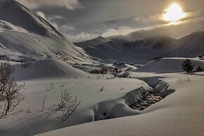 Family Cabin: Explore Alaska's Favorite Playground