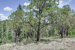 'majestic Pines' Ruidoso Retreat w/ New Hot Tub!
