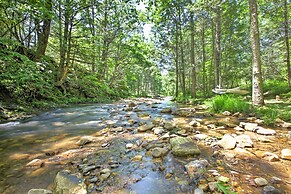 'clearwater Cabin' on 10 Acres w/ Trout Stream!