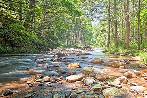 'clearwater Cabin' on 10 Acres w/ Trout Stream!