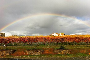 Working Vineyard & Private Pool: Villa in Plymouth