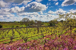 Working Vineyard & Private Pool: Villa in Plymouth