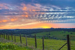 Working Vineyard & Private Pool: Villa in Plymouth