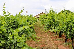 Working Vineyard & Private Pool: Villa in Plymouth