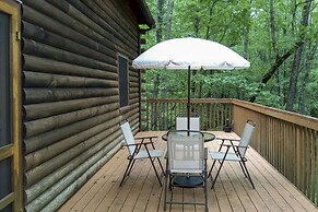 Serene Brevard Cabin ~ 7 Miles to State Forest!