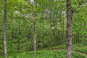 Serene Brevard Cabin ~ 7 Miles to State Forest!