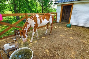 Spacious Missouri Vacation Rental w/ Fire Pit!