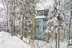 Walk to Ski Trails: Ludlow Home on Okemo Mountain!