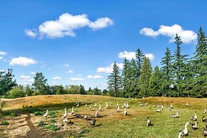 Cozy Ferndale Studio on 20-acre Working Farm!