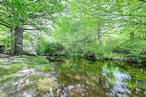 Highlands Cabin on Buck Creek ~ 8 Mi to Town!