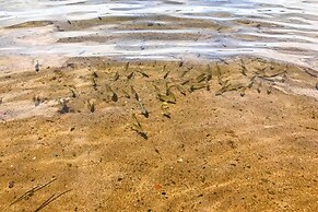 Lakeview 10-acre Kimball Cabin w/ Private Beach!