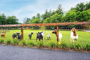 Pisgah Forest Farm Home: Outdoor Pool & Games