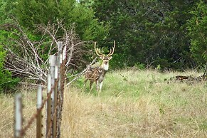 Quiet Utopia Cabin w/ Deck & Mountain Views!