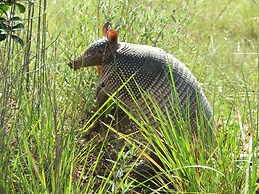 Utopia Family Home w/ Mountain Viewing Deck!