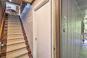 Charming Roan Mtn Cabin Across From Creek!