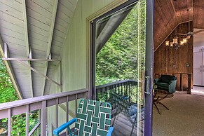 Charming Roan Mtn Cabin Across From Creek!