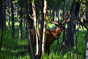 Spacious & Private Home w/ Lazy Mountain View