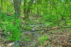 Renovated Studio on 5 Acres - Near Vineyards!