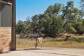 Georgetown Barn Studio on > 7 Acres: Pet Friendly!