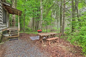 Trails & Creek On-site: Tranquil Greentown Cabin