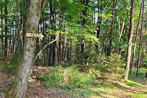 Trails & Creek On-site: Tranquil Greentown Cabin