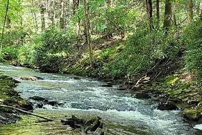 Trails & Creek On-site: Tranquil Greentown Cabin