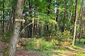 Trails & Creek On-site: Tranquil Greentown Cabin
