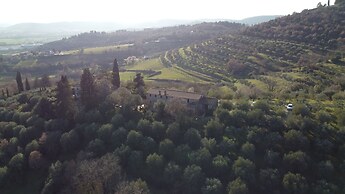 Il Mulino delle Canutole