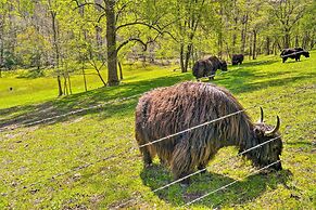 Dreamy Homestead Escape: Patio, Ranch On-site