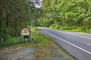 Roan Mountain Creekside Cabin: Hike & Fish!