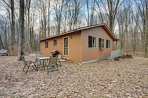 Secluded Farwell Cabin w/ Fire Pit & Gas Grill!