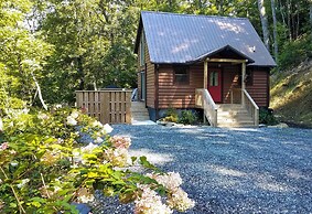 Hot Tub & Views: Charming Bryson City Cabin!