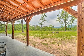 Updated Studio Cabin in Ozark w/ Yard & Mtn View